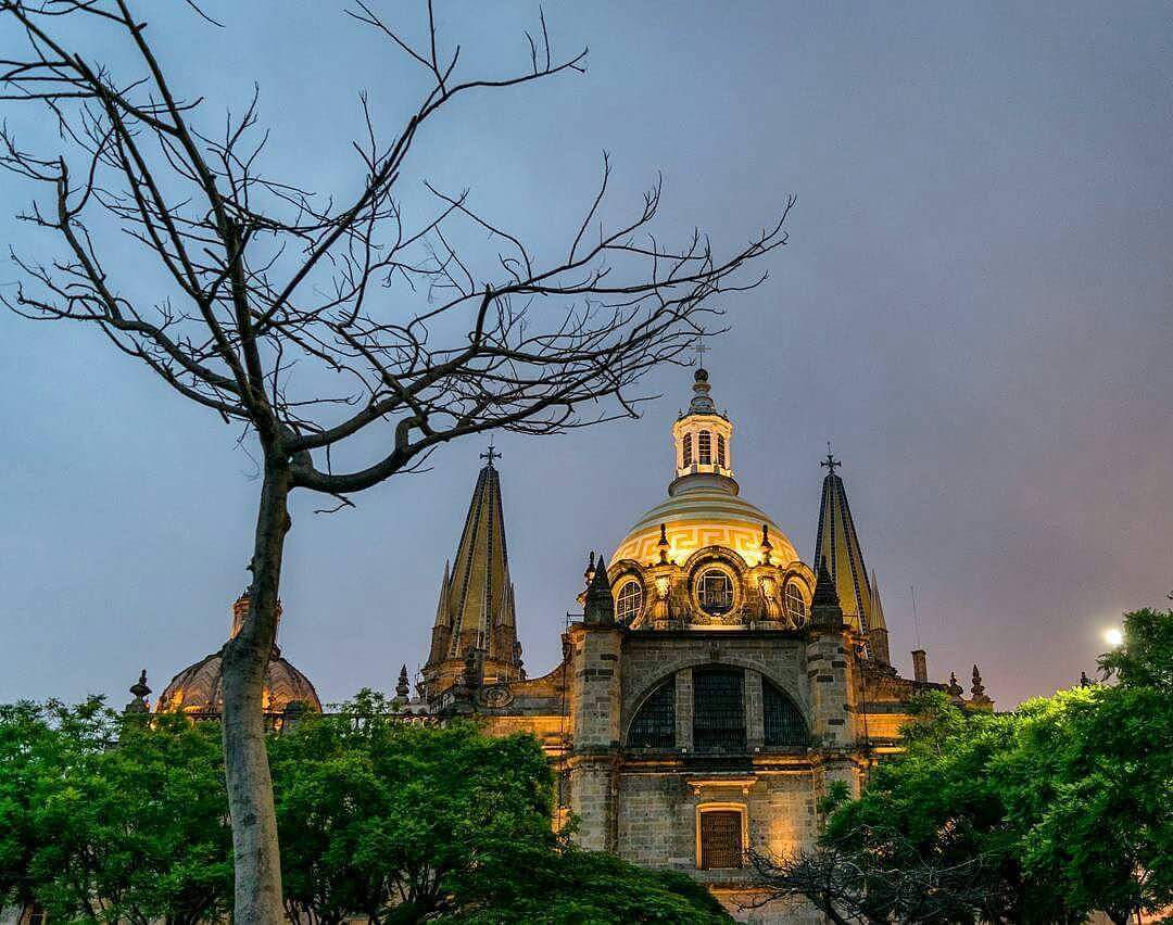 La imagen muestra la vista de la catedral de Guadalajara al anochecer o durante la hora del crepúsculo. En el primer plano, hay un árbol sin hojas con ramas desnudas que contrastan contra el cielo. Detrás del árbol, la catedral se ilumina maravillosamente, con luces que resaltan la arquitectura. La parte más iluminada es la cúpula principal, que tiene rayas horizontales y está rodeada por pequeñas ventanas arqueadas. Sobre esta cúpula, se encuentra una linterna de cúpula más pequeña con una cruz en la cima. A la izquierda y derecha de la cúpula principal, hay dos torres altas y esbeltas con agujas puntiagudas. Estas torres también están iluminadas, aunque no tanto como la cúpula. La fachada de la catedral debajo de la cúpula principal tiene un diseño clásico con columnas y ventanas arqueadas. Al lado derecho, se puede ver un poco la luna o posiblemente un foco de luz, que está parcialmente oculto por nubes o el brillo del cielo. El cielo tiene una coloración que varía de azules más oscuros a tonos más claros cerca del horizonte, lo que sugiere que la foto fue tomada durante la hora azul, justo después de la puesta del sol.